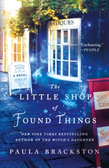 Image for The little shop of found things: a novel