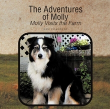 Image for The Adventures of Molly