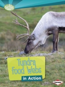 Image for Tundra Food Webs in Action