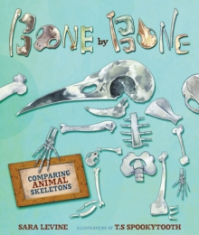 Image for Bone by Bone