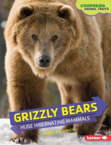 Image for Grizzly Bears: Huge Hibernating Mammals