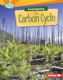 Image for Investigating the Carbon Cycle