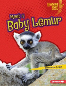 Image for Meet a Baby Lemur