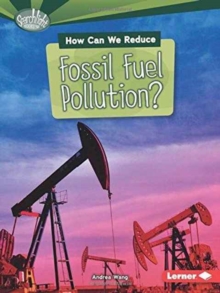 Image for How Can We Reduce Fossil Fuel Pollution