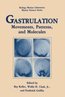 Image for Gastrulation : Movements, Patterns and Molecules