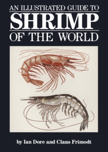 Image for Illustrated Guide to Shrimp of the World