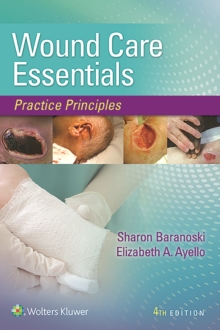Image for Wound care essentials  : practice principles