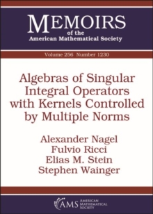 Image for Algebras of Singular Integral Operators with Kernels Controlled by Multiple Norms