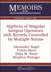 Algebras of Singular Integral Operators with Kernels Controlled by Multiple Norms