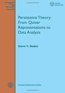 Persistence Theory