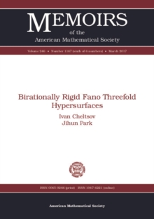 Image for Birationally rigid Fano threefold hypersurfaces