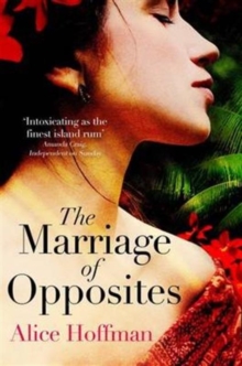 Cover for: The Marriage of Opposites