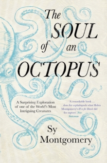 Image for The soul of an octopus  : a surprising exploration of one of the world's most intriguing creatures