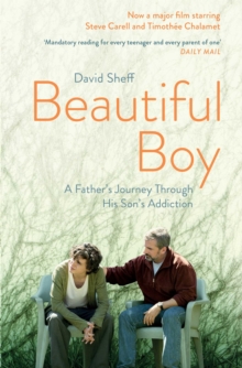 Image for Beautiful boy: a father's journey through his son's meth addiction