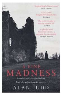 Image for A fine madness: a novel inspired by the life and death of Christopher Marlowe