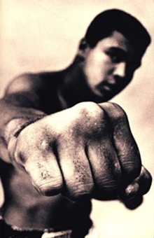 ALI A LIFE PA