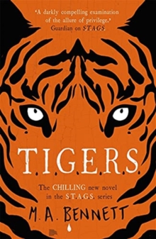 Image for STAGS 4: TIGERS