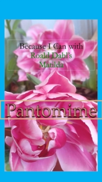 Image for Because I Can with Roald Dahl's Matilda :  Pantomime: Pantomime