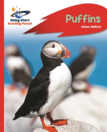 Image for Puffins