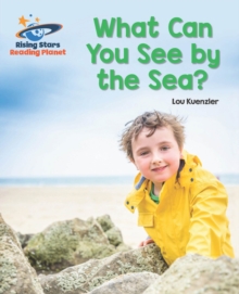 Image for What can you see by the sea?