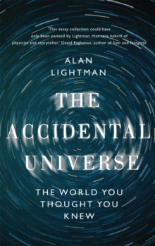 Image for The accidental universe