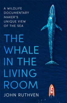 The Whale in the Living Room: A Wildlife Documentary Maker’s Unique View of the Sea