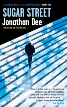 Untitled Jonathan Dee Book 2