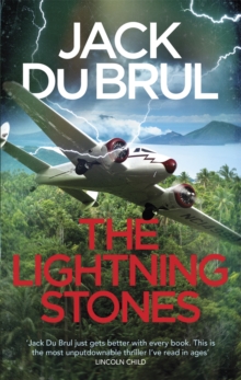 Image for The lightning stones  : a novel