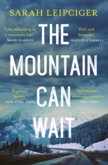 Image for The mountain can wait