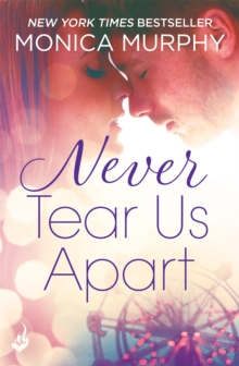 Image for Never Tear Us Apart: Never Series 1