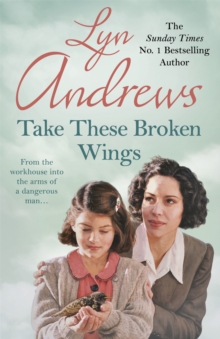 Image for Take these broken wings