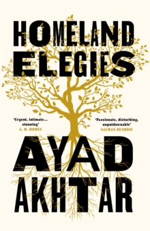 Image for Homeland elegies