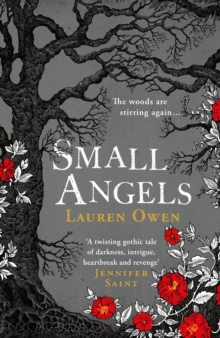 Small Angels: ‘A twisting gothic tale of darkness, intrigue, heartbreak and revenge’ Jennifer Saint