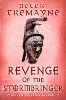 Image for Revenge of the stormbringer