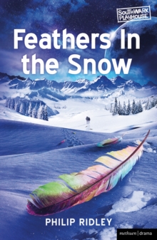 Image for Feathers in the snow