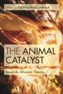 Animal Catalyst