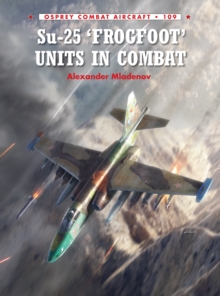 Image for Su-25 'Frogfoot' units in combat