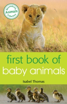 Image for First book of baby animals