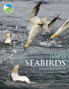 Image for RSPB seabirds