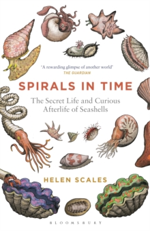 Image for Spirals in time  : the secret life and curious afterlife of seashells