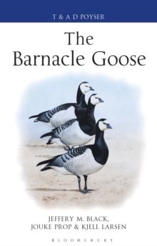 Image for The barnacle goose