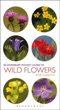 Image for Pocket guide to wild flowers