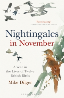 Image for Nightingales in November: a year in the lives of twelve British birds