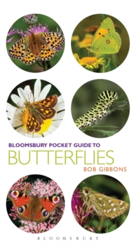 Image for Pocket Guide to Butterflies