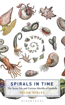 Image for Spirals in time  : the secret life and curious afterlife of seashells