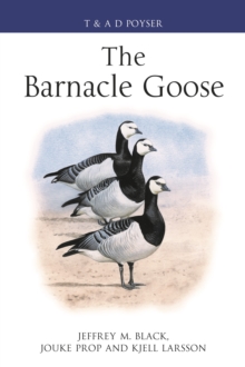 Image for The barnacle goose