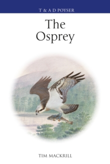 Image for The Osprey