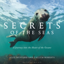 Image for Secrets of the Seas