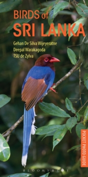 Image for Pocket photo guide to the birds of Sri Lanka