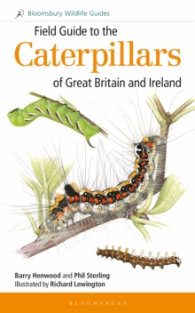 Image for Field guide to the caterpillars of Great Britain and Ireland